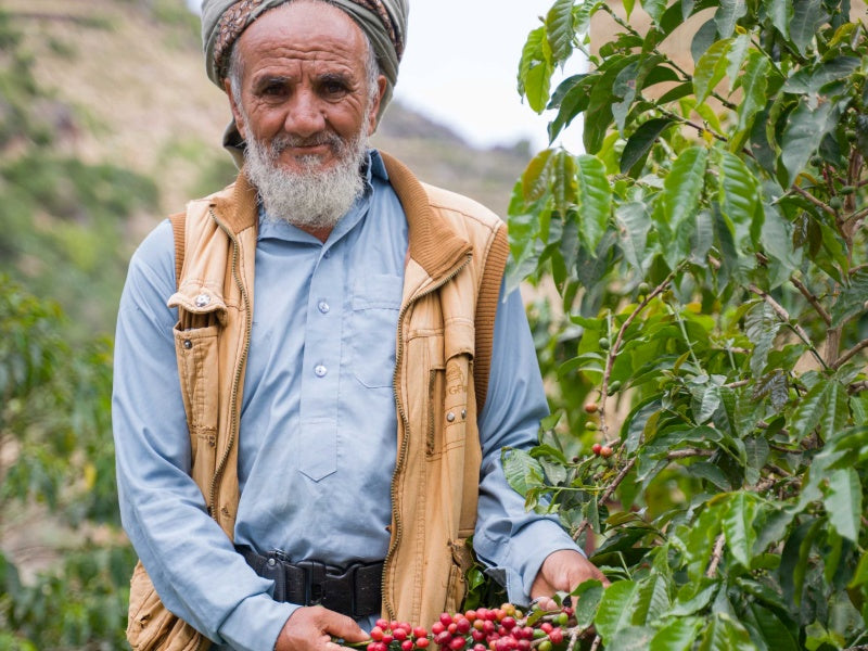 【SOLD OUT】Yemen Mocha Haraz Farmers Gift | 100g