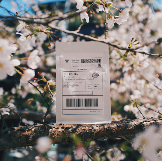 【SOLD OUT】桜-SAKURA / COLOMBIA Palestina Huila 170h Anaerobic with Cinnamon Washesd| 150g & 300g