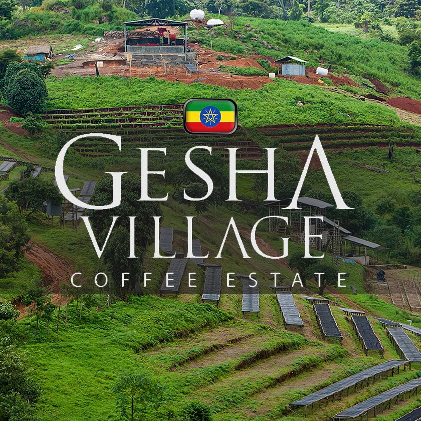 【SOLDOUT】森からの贈り物/ Ethiopia Gesha Village Chaka Natural 2023| 150g & 300g