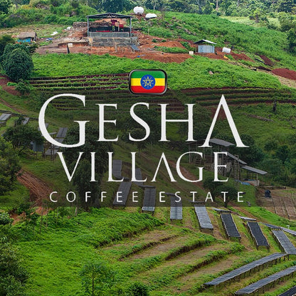 【SOLDOUT】森からの贈り物/ Ethiopia Gesha Village Chaka Natural 2023| 150g & 300g