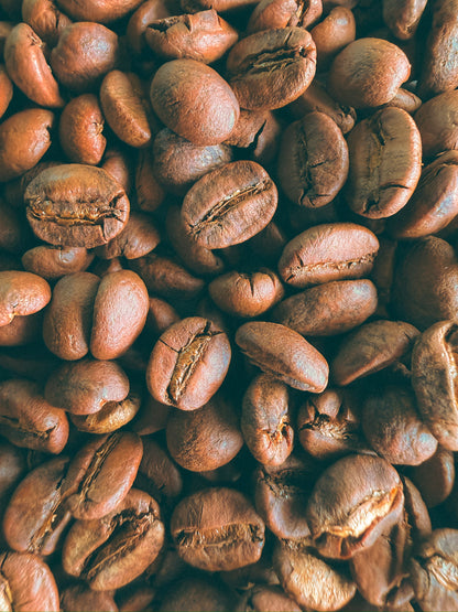 【SOLD OUT】Yemen Mocha Haraz Farmers Gift | 100g