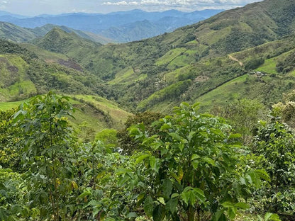 Ecuador Micro Lot Sidra Anaerobic Washed | 100g